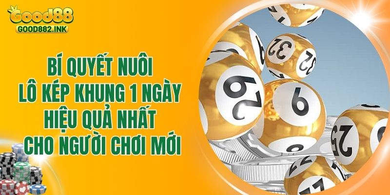 Bí Quyết Nuôi Lô Kép Khung 1 Ngày Hiệu Quả Nhất Cho Người Chơi Mới 1 Bí Quyết Nuôi Lô Kép Khung 1 Ngày Hiệu Quả Nhất Cho Người Chơi Mới