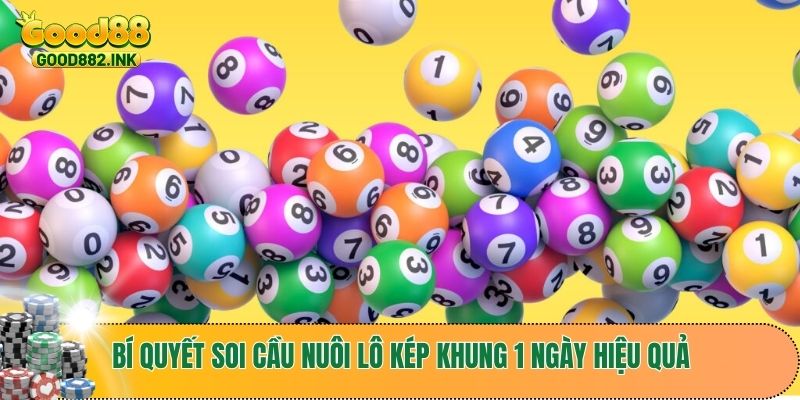 Bí Quyết Nuôi Lô Kép Khung 1 Ngày Hiệu Quả Nhất Cho Người Chơi Mới 3 Bí quyết soi cầu nuôi lô kép khung 1 ngày hiệu quả