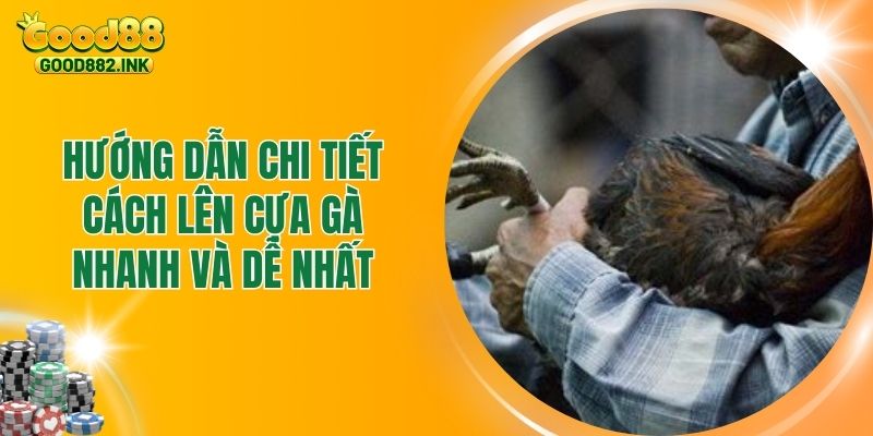 Hướng Dẫn Chi Tiết Cách Lên Cựa Gà Nhanh Và Dễ Nhất 1 Hướng Dẫn Chi Tiết Cách Lên Cựa Gà Nhanh Và Dễ Nhất